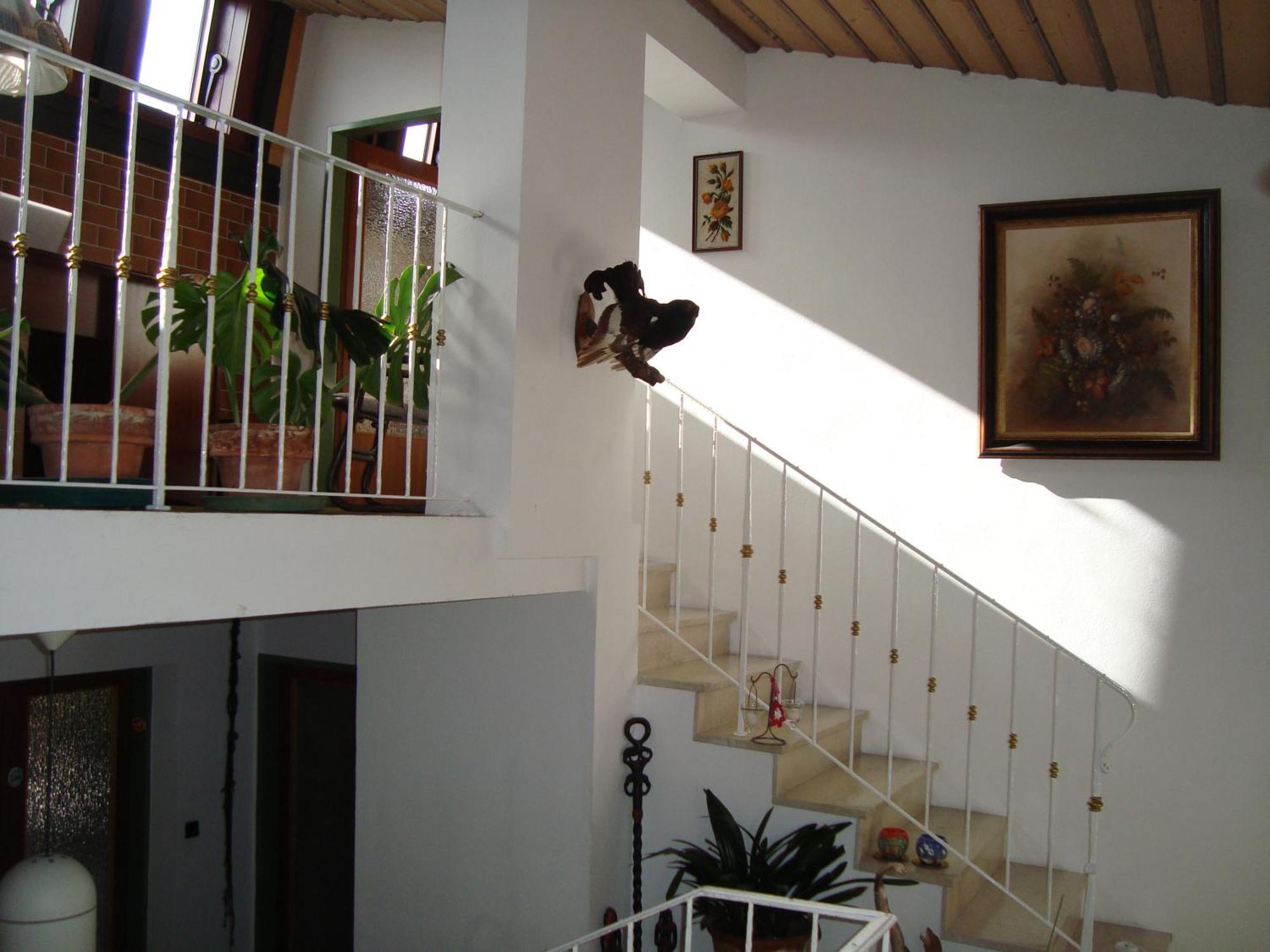 Semmering Villa Sonnenschein Ngoại thất bức ảnh